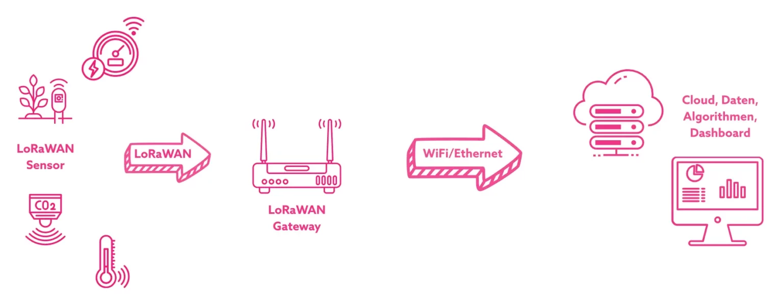 Datenfluss eines LoRaWAN IoT-Systems vom Sensor über Gateway zur Cloud und Visualisierung im Dashboard